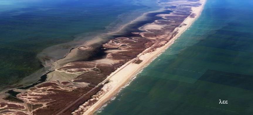 South Padre Stayz South Padre Island Eksteriør billede