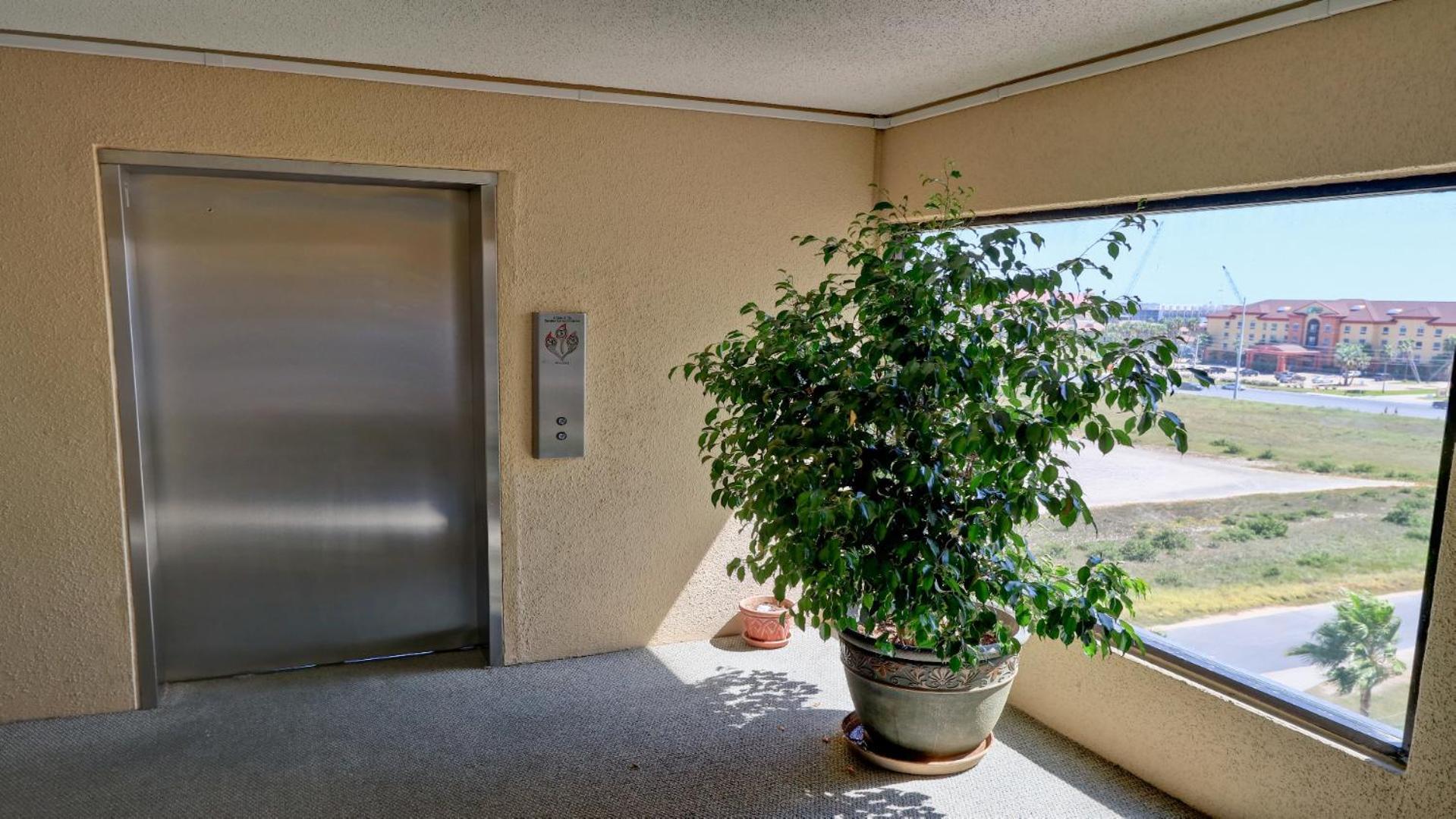 South Padre Stayz South Padre Island Eksteriør billede