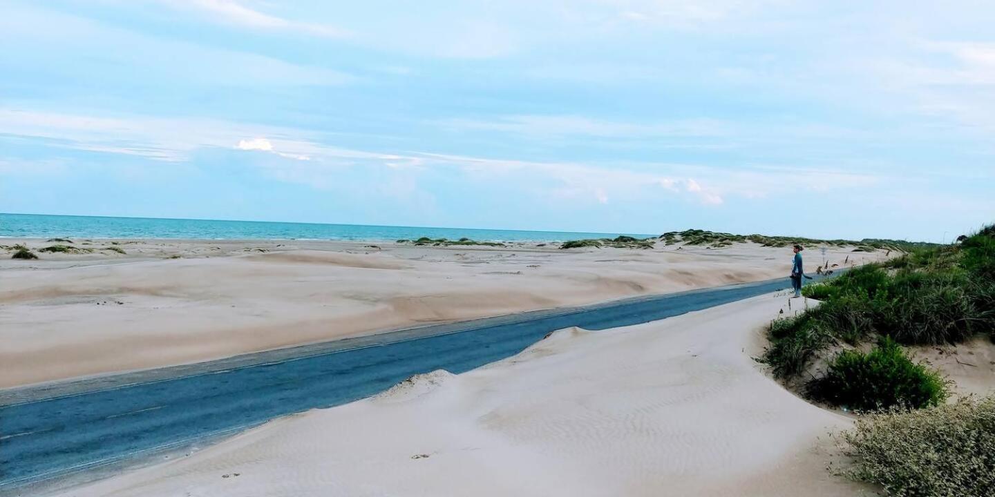 South Padre Stayz South Padre Island Eksteriør billede